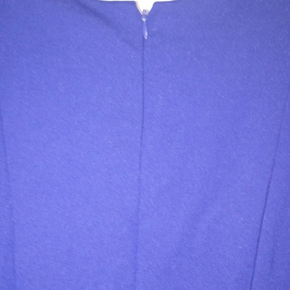 🦄 Lauren Ralph Lauren Cobalt Blue Long Sleeve Dress Size 10 - Picture 8 of 8